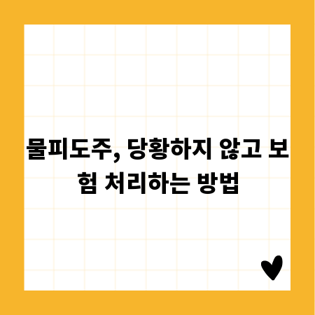 물피도주, 당황하지 않고 보험 처리하는 방법