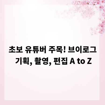 초보 유튜버 주목! 브이로그 기획, 촬영, 편집 A to Z