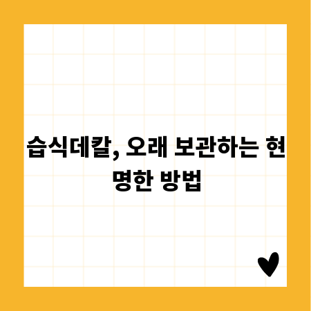습식데칼, 오래 보관하는 현명한 방법