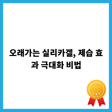 오래가는 실리카겔, 제습 효과 극대화 비법