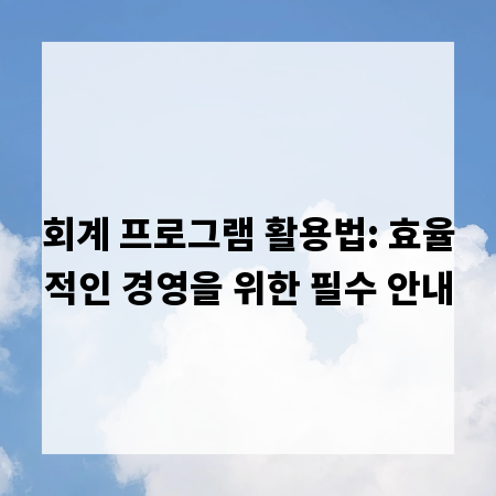 회계 프로그램 활용법: 효율적인 경영을 위한 필수 안내