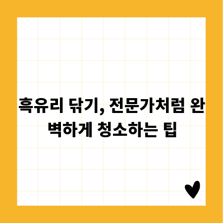 흑유리 닦기, 전문가처럼 완벽하게 청소하는 팁