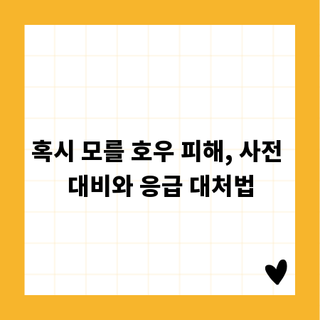 혹시 모를 호우 피해, 사전 대비와 응급 대처법