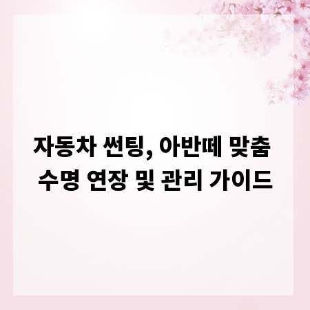 자동차 썬팅, 아반떼 맞춤 수명 연장 및 관리 가이드