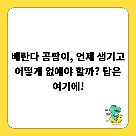 베란다 곰팡이, 언제 생기고 어떻게 없애야 할까? 답은 여기에!