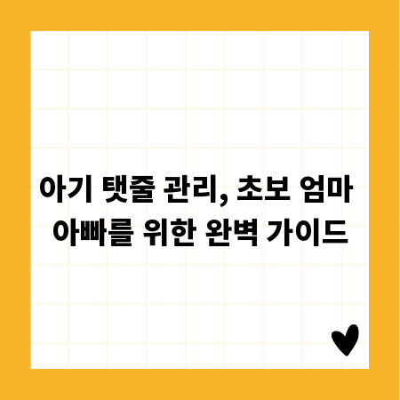 금테크 가이드: 오늘의 금값부터 투자 성공 비결까지