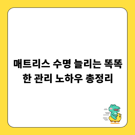 매트리스 수명 늘리는 똑똑한 관리 노하우 총정리