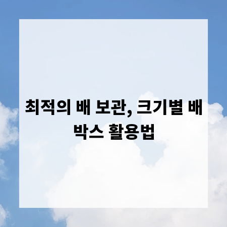 최적의 배 보관, 크기별 배박스 활용법