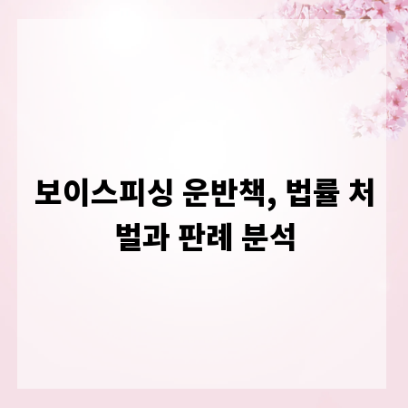 보이스피싱 운반책, 법률 처벌과 판례 분석