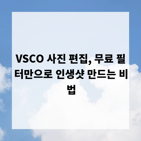 VSCO 사진 편집, 무료 필터만으로 인생샷 만드는 비법