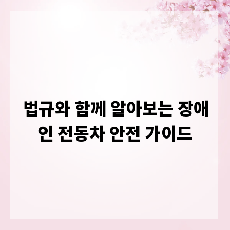 법규와 함께 알아보는 장애인 전동차 안전 가이드