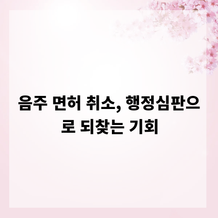음주 면허 취소, 행정심판으로 되찾는 기회