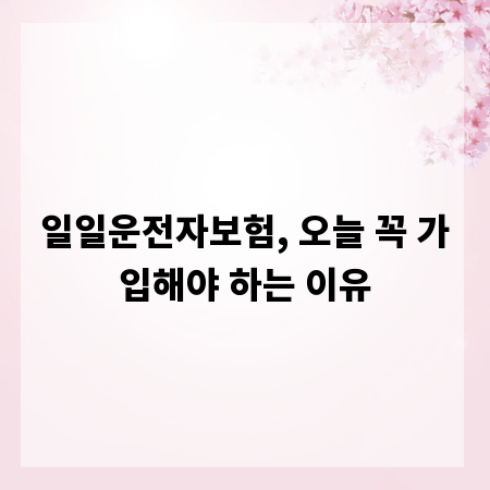 일일운전자보험, 오늘 꼭 가입해야 하는 이유