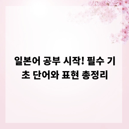 일본어 공부 시작! 필수 기초 단어와 표현 총정리
