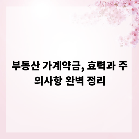 부동산 가계약금, 효력과 주의사항 완벽 정리