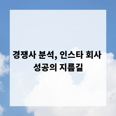 경쟁사 분석, 인스타 회사 성공의 지름길