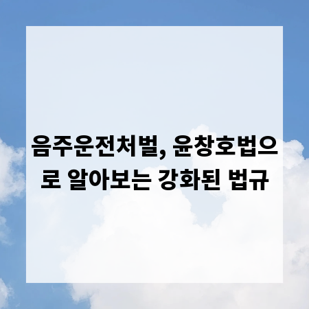 음주운전처벌, 윤창호법으로 알아보는 강화된 법규