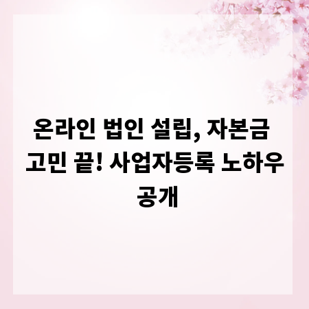 온라인 법인 설립, 자본금 고민 끝! 사업자등록 노하우 공개