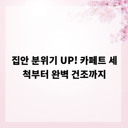 집안 분위기 UP! 카페트 세척부터 완벽 건조까지