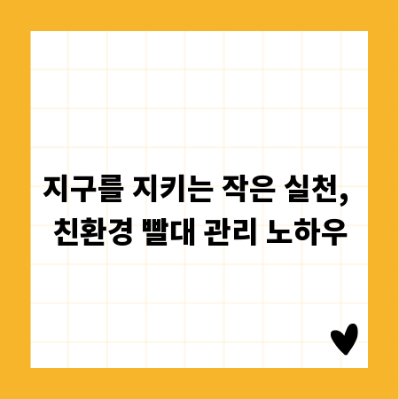 지구를 지키는 작은 실천, 친환경 빨대 관리 노하우