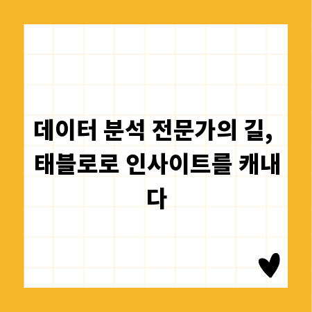 데이터 분석 전문가의 길, 태블로로 인사이트를 캐내다