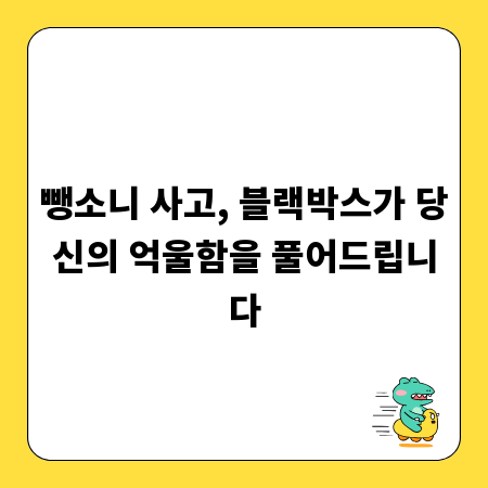 뺑소니 사고, 블랙박스가 당신의 억울함을 풀어드립니다