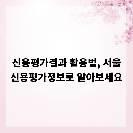 신용평가결과 활용법, 서울신용평가정보로 알아보세요