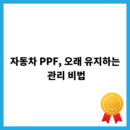 자동차 PPF, 오래 유지하는 관리 비법