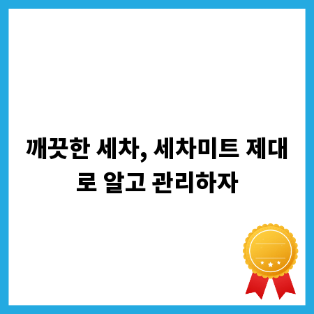 깨끗한 세차, 세차미트 제대로 알고 관리하자
