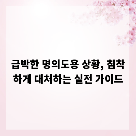 급박한 명의도용 상황, 침착하게 대처하는 실전 가이드