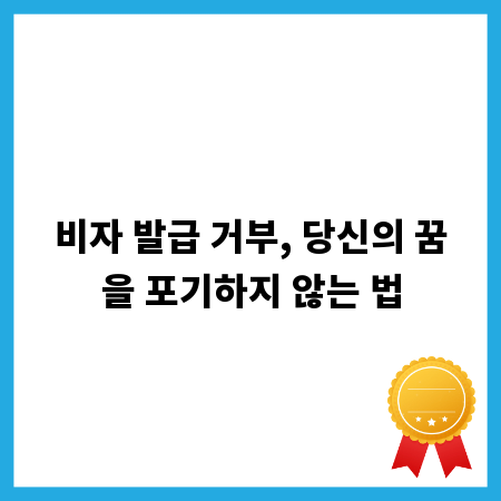 비자 발급 거부, 당신의 꿈을 포기하지 않는 법