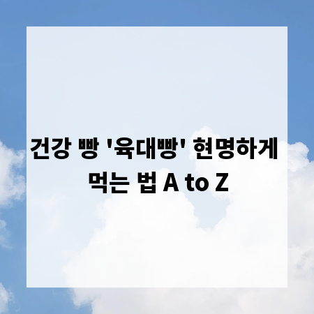 건강 빵 '육대빵' 현명하게 먹는 법 A to Z