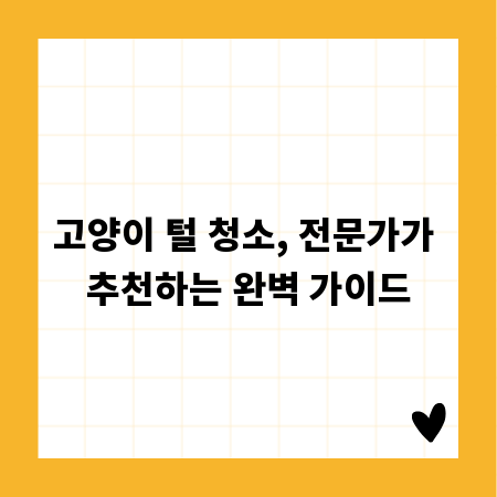 고양이 털 청소, 전문가가 추천하는 완벽 가이드