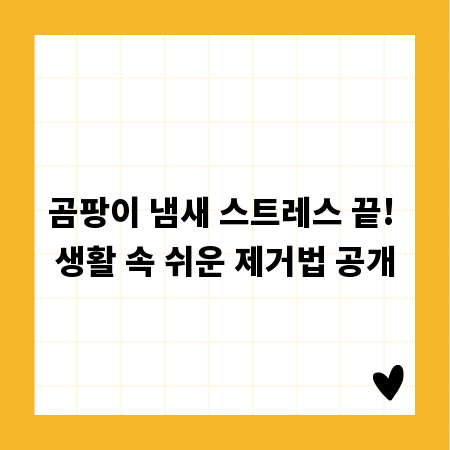 곰팡이 냄새 스트레스 끝! 생활 속 쉬운 제거법 공개