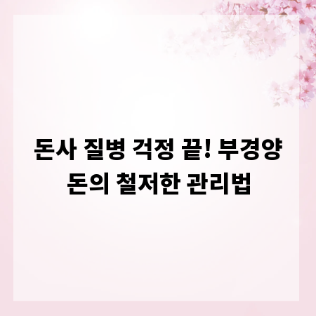 돈사 질병 걱정 끝! 부경양돈의 철저한 관리법