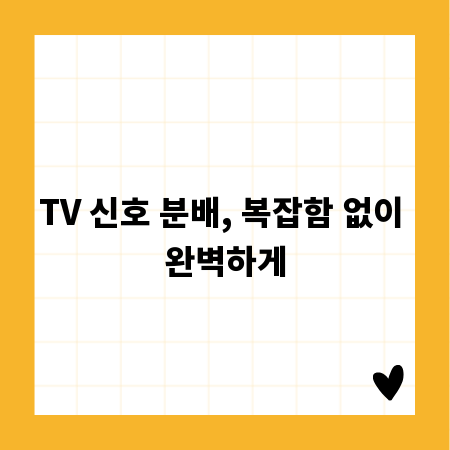 TV 신호 분배, 복잡함 없이 완벽하게