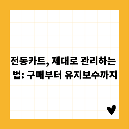 전동카트, 제대로 관리하는 법: 구매부터 유지보수까지