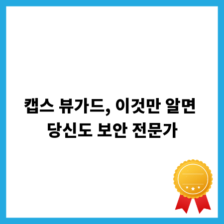 캡스 뷰가드, 이것만 알면 당신도 보안 전문가