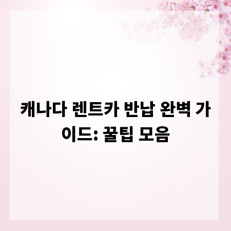 캐나다 렌트카 반납 완벽 가이드: 꿀팁 모음