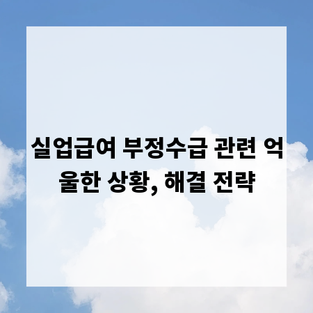 실업급여 부정수급 관련 억울한 상황, 해결 전략