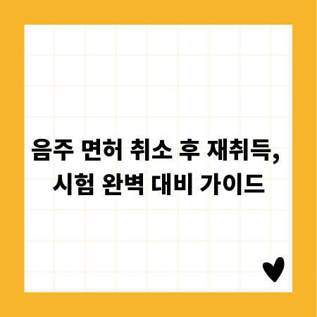 음주 면허 취소 후 재취득, 시험 완벽 대비 가이드