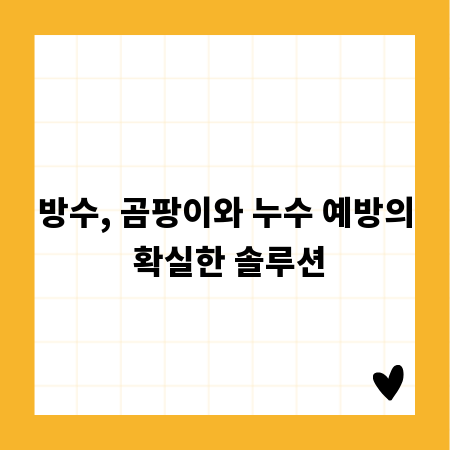 방수, 곰팡이와 누수 예방의 확실한 솔루션