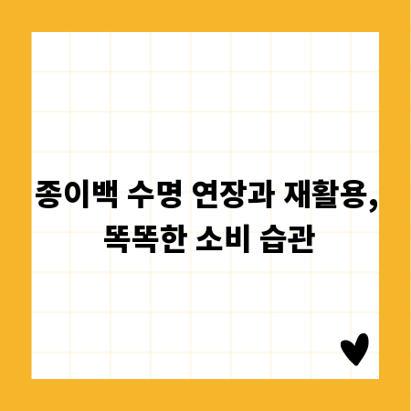 종이백 수명 연장과 재활용, 똑똑한 소비 습관