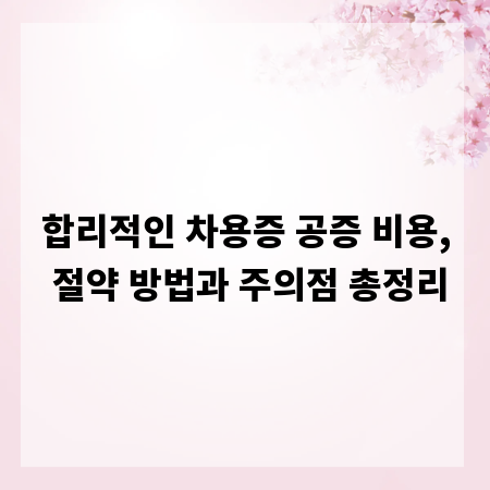 합리적인 차용증 공증 비용, 절약 방법과 주의점 총정리