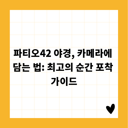 파티오42 야경, 카메라에 담는 법: 최고의 순간 포착 가이드