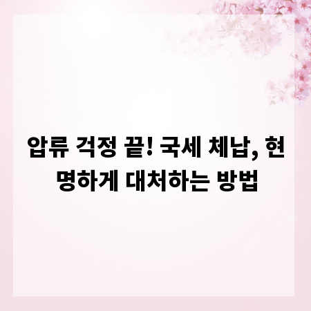 압류 걱정 끝! 국세 체납, 현명하게 대처하는 방법