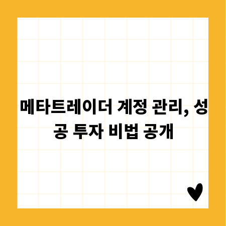 메타트레이더 계정 관리, 성공 투자 비법 공개