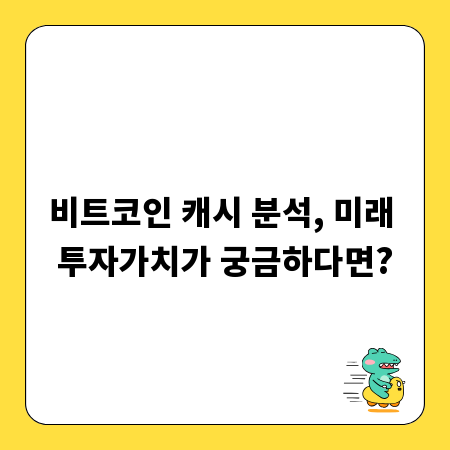 비트코인 캐시 분석, 미래 투자가치가 궁금하다면?