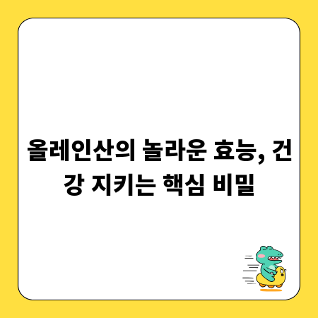 올레인산의 놀라운 효능, 건강 지키는 핵심 비밀