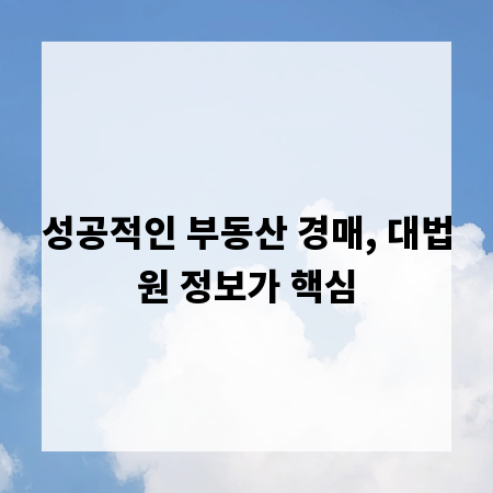 성공적인 부동산 경매, 대법원 정보가 핵심
